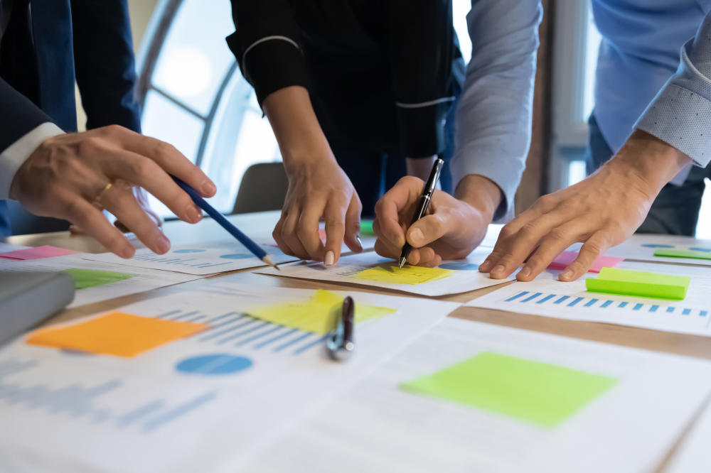 The Mentorship Programme: supporting expert’s growth and collaboration