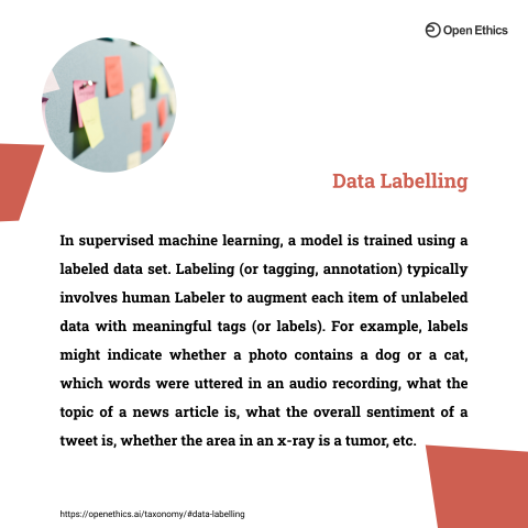 Data Labelling - back